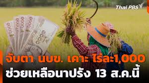 Thai PBS - News update