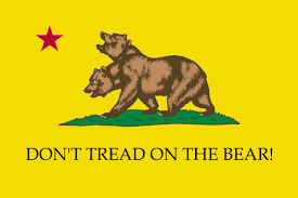 Image result for gadsden flag