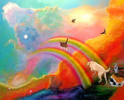 Image result for rainbow bridge
