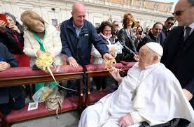 Pope Francis Presides Over Palm Sunday Mass Amid Health Concerns and Calls for Peace