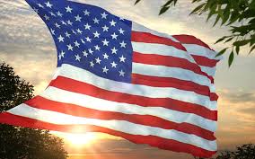 Image result for us flag