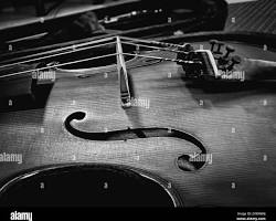 Image of completed violin outline with tailpiece, chinrest, and strings