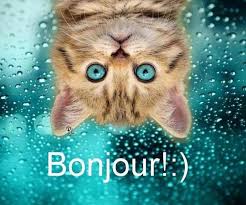 R&eacute;sultat de recherche d'images pour