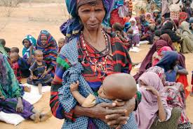 Image result for starving people