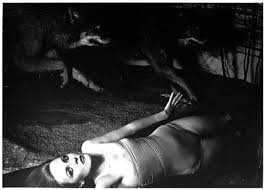 Résultat de recherche d'images pour "francesca woodman"