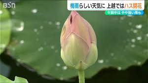 Yahoo!ニュース - News update