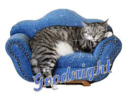 Résultat de recherche d'images pour "images gif bonne nuit"