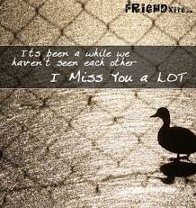 Miss You Friend Quotes. QuotesGram via Relatably.com