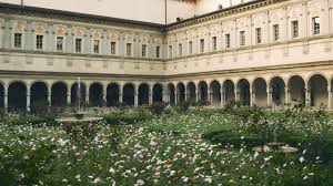 Trend Google: brera