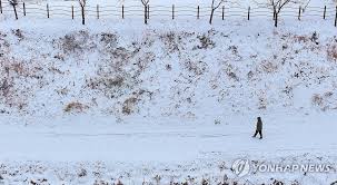 내일 날씨 - 전국 곳곳 대설 및 강수, 미세먼지까지 복합적 주의 필요 (강수량, 미세먼지)