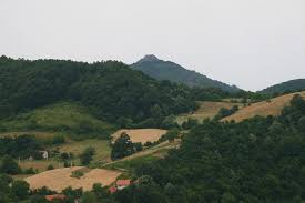 Резултат слика за rudnik planina