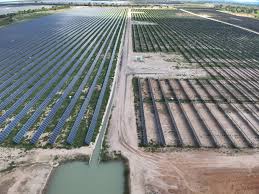 Parque solar da Gerdau e Newave Energia inicia fase de testes