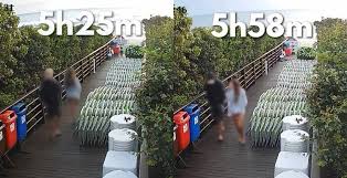 Vídeo revela adolescente voltando ao condomínio após agressões ao cão Orelha em SC; imagens expõem contradição central da investigação