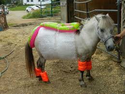 Image result for minature horse shoes