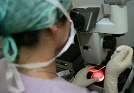 Risultati immagini per tubercolosi provincia di salerno