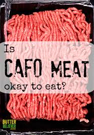 Image result for cafo