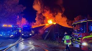 SVT Nyheter - News update