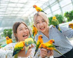 掛川花鳥園（AI 生成）