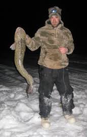 Image result for burbot fish