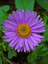 images?q=tbn:ANd9GcTi0ZKVryadPWVNoBF9DC-