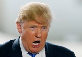 Image result for TRUMP