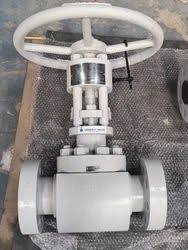 Globe Valve - Cast Steel Globe Valve Manufacturer from Ahmedabad