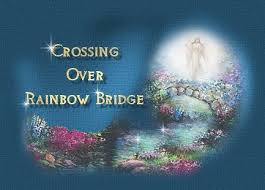 Image result for crossing the rainbow bridge