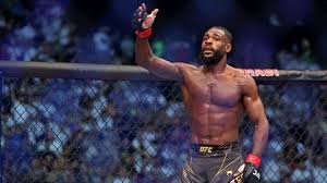 UFC Shanghai: Sterling vs. Ortega, Walker vs. Zhang Headline Fight Night