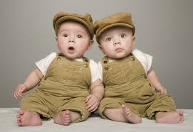 Language development and twins