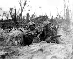 Image result for battle of peleliu