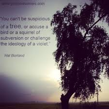 Our Favorite Nature and Tree Quotes: Hal Borland via Relatably.com