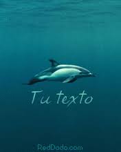 Resultado de imagen para fondos de pantalla animados gif