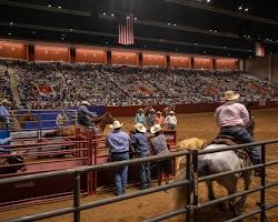 Image of Dallas Rodeo