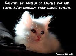 Résultat de recherche d'images pour "bonne journée humour"