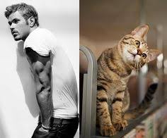 Image result for men and cats tumblr