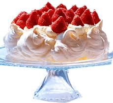 Image result for pavlova