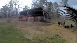 Canada's Extreme Weather: Snowstorms and Heatwaves Go Head-to-Head