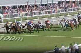 Punters - News update