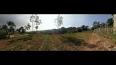 Video untuk lembang valley view