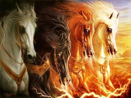 Image result for horses