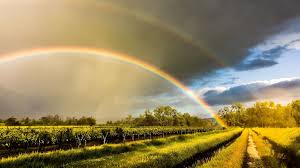 Weather Forecast in Puerto Vallarta: What to Expect