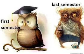 Image result for end of semester meme