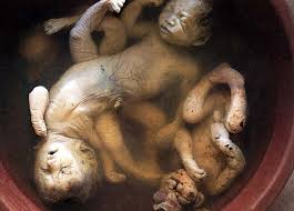 Image result for depleted+uranium+babies
