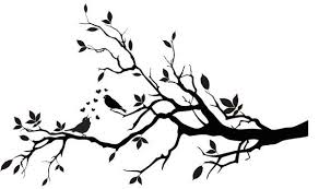 Image result for a branch