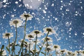 Image result for rain