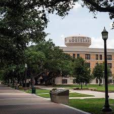 Universidade do Texas manda professor não ensinar trechos de Platão por ‘ideologia de gênero’