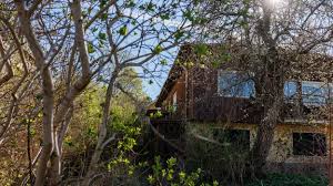 Ödehusen kartläggs i Linköping – kan bli nya villor och tomter