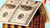 Could quality and value be the key for shares in LSL Property Services?