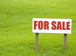 Risultati immagini per for sale