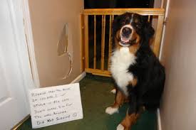 Image result for Im fine meme